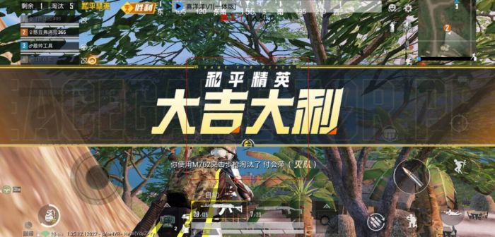 和平精英透视外挂 - 高清透视高亮辅助免费下载